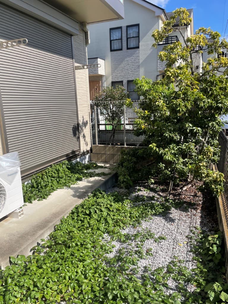 除草前・施工前の庭
